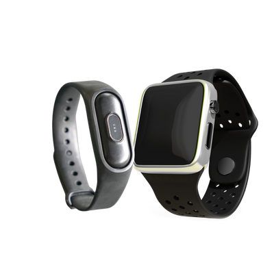 Fitbit / Apple Watch